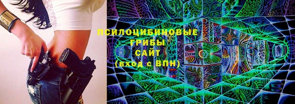МДПВ Абаза